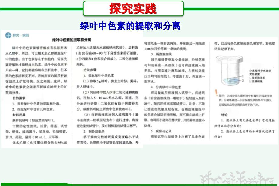 【高中生物】光合作用与能量转化课件 2022-2023学年高一上学期生物人教版必修1_第3页