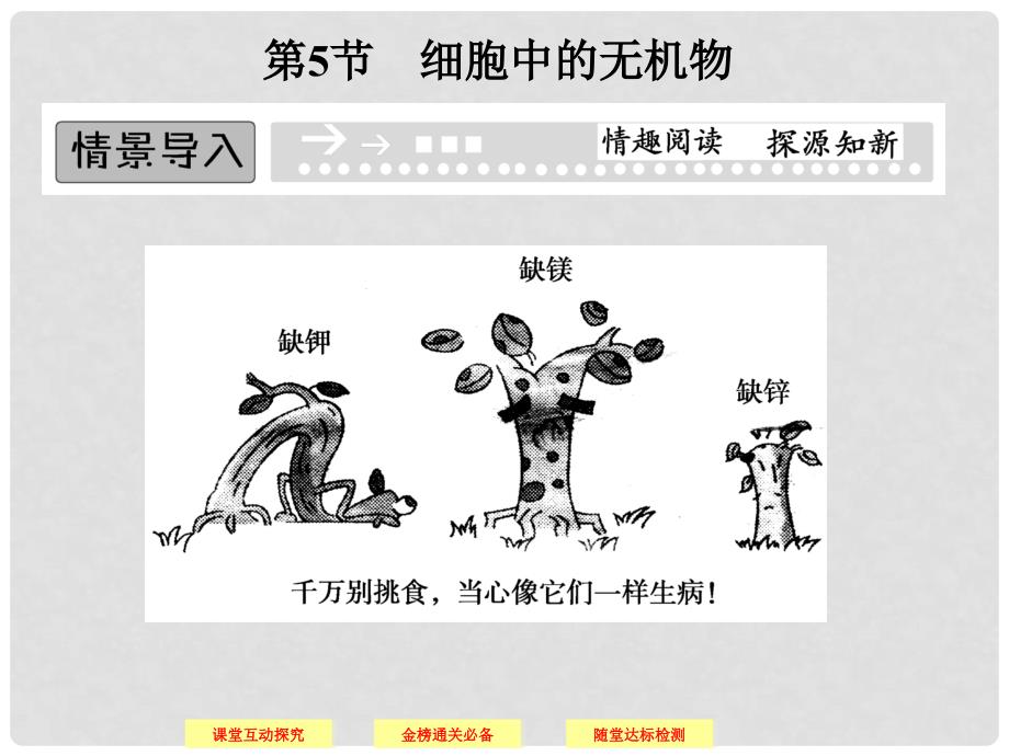 高中生物上篇 第2章 第5节细胞中的无机物课件 新人教版必修1_第1页