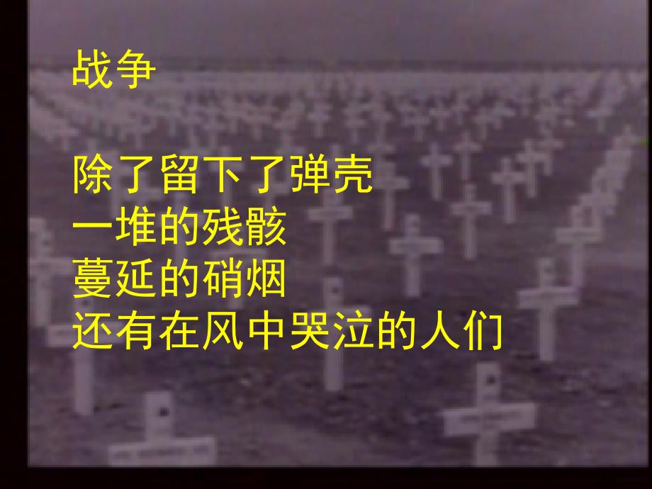 美苏争锋.ppt_第3页