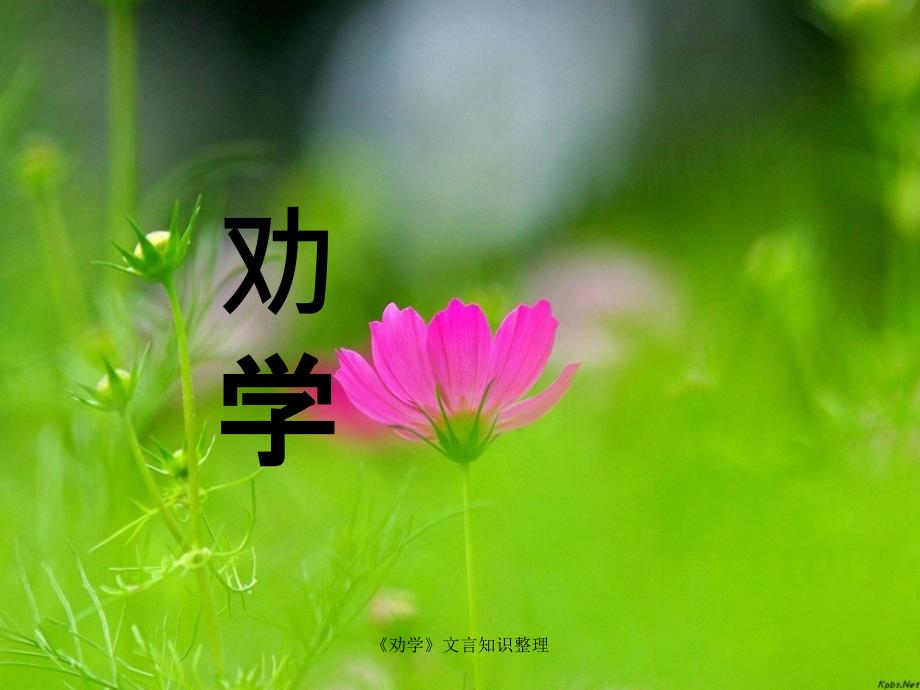 劝学文言知识整理_第1页