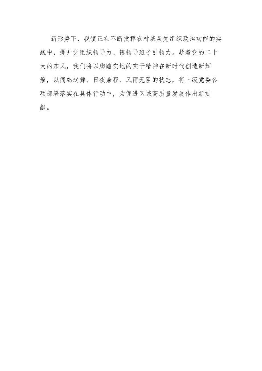 2023镇党委书记抓基层党建工作经验交流发言范文_第5页