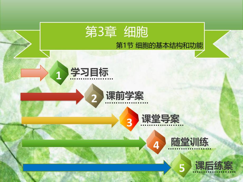 七年级生物上册第二单元第3章第1节细胞的基本结构和功能第1课时细胞的基本结构和功能习题优质课件新版北师大版_第2页