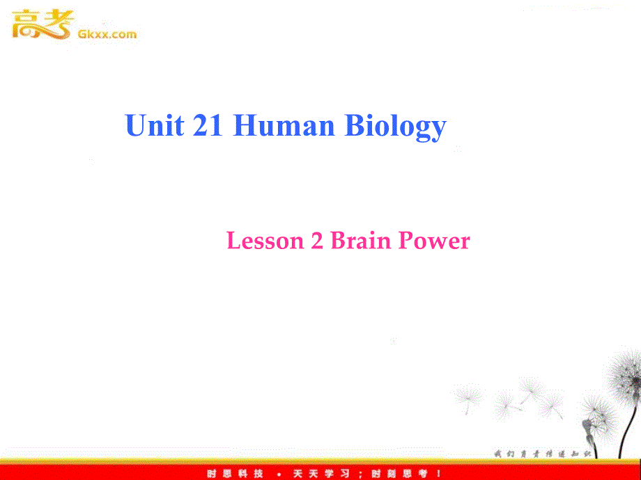 高中英语 Unit21 《lesson2 《Brain Power》 》课件 北师大版选修7_第2页