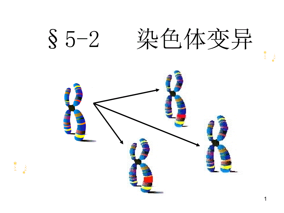 生物5.2染色体变异课件1新人教版必修2_第1页