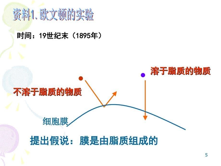 生物膜的流动镶嵌模型好_第5页