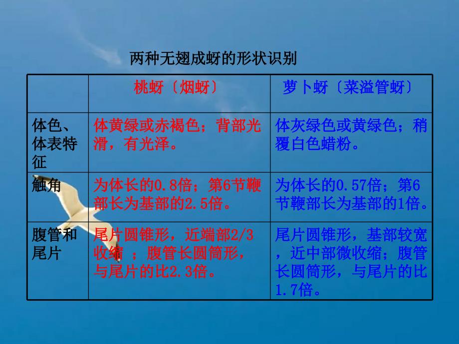 蔬菜实验园艺ppt课件_第4页