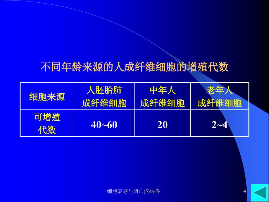 细胞衰老与凋亡(5)课件_第4页