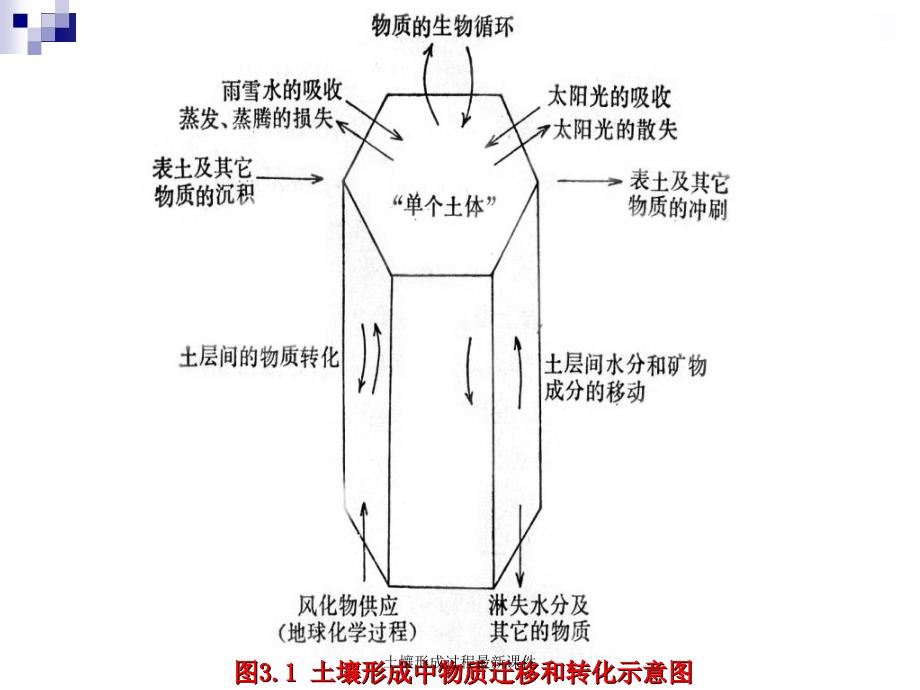 土壤形成过程最新课件_第2页