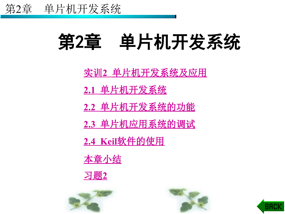 《片机开发系统》PPT课件_第1页