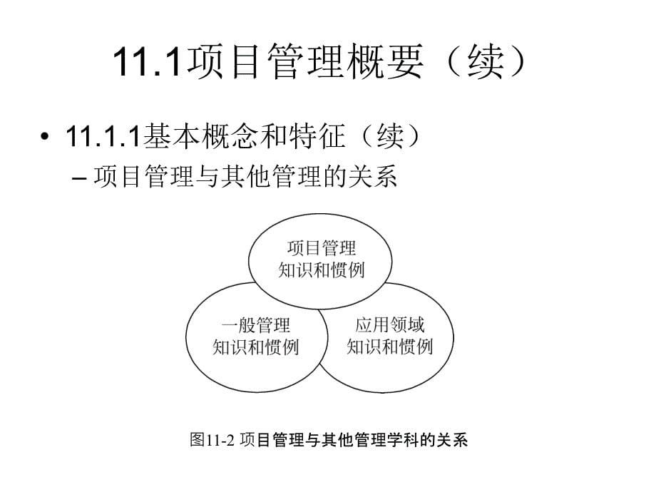 信息系统项目管理_第5页