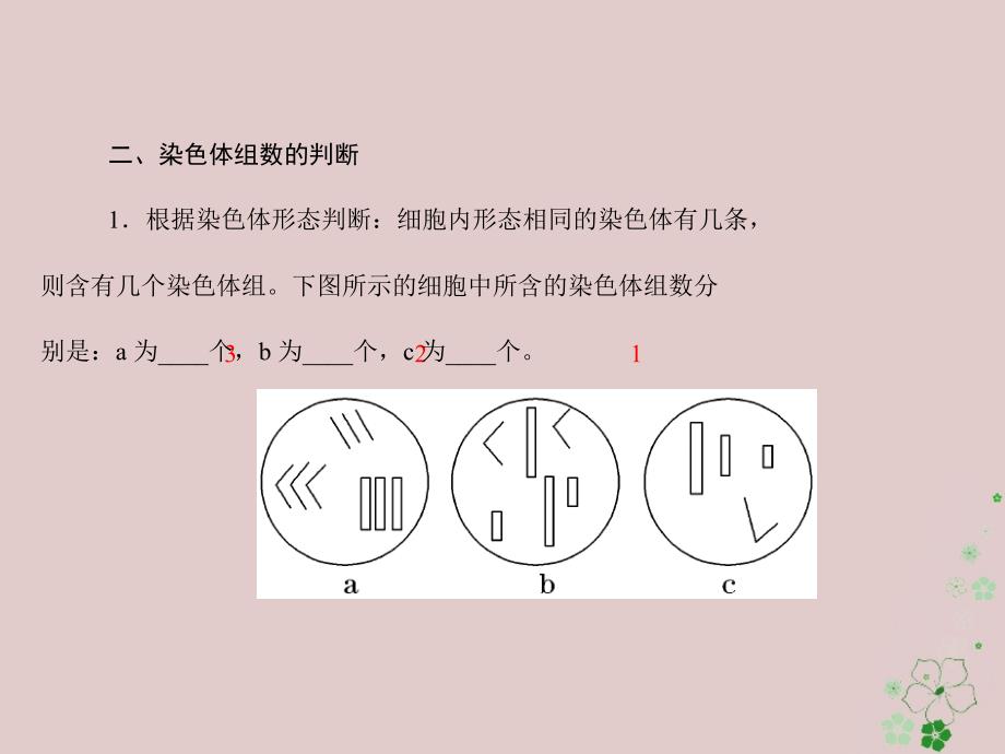 2019版高考生物一轮总复习 第5章 基因突变及其他变异 第2节 染色体变异课件 必修2_第3页