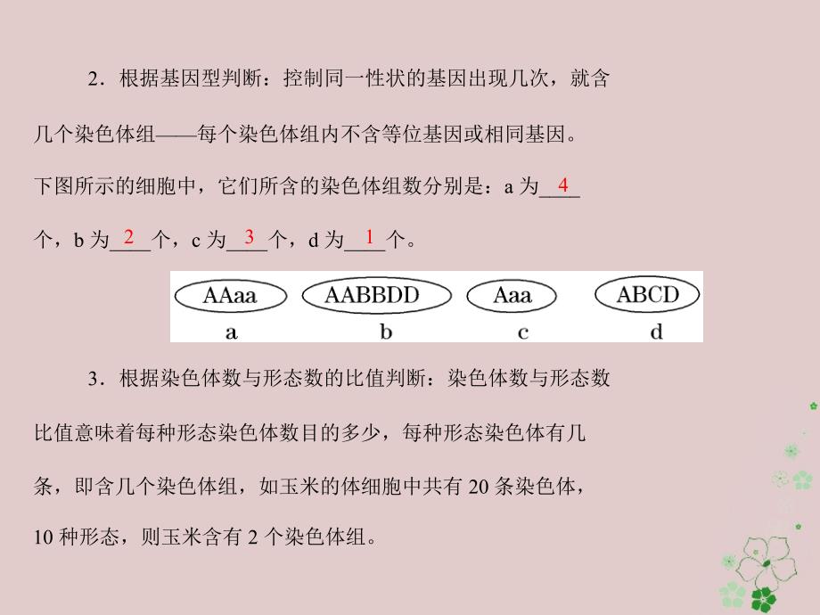 2019版高考生物一轮总复习 第5章 基因突变及其他变异 第2节 染色体变异课件 必修2_第4页