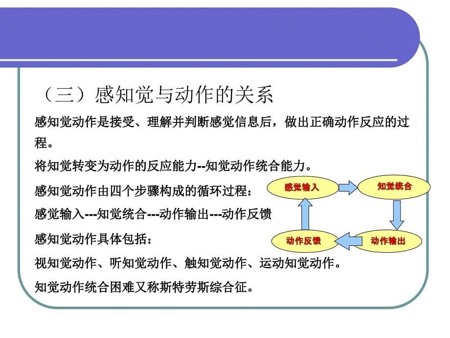 特殊儿童教育评估-第四章-感知觉能力评估.ppt_第5页