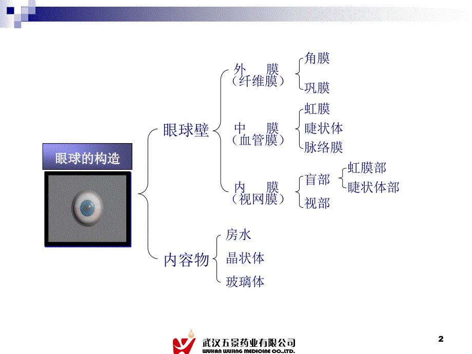 医学基础部分_第2页