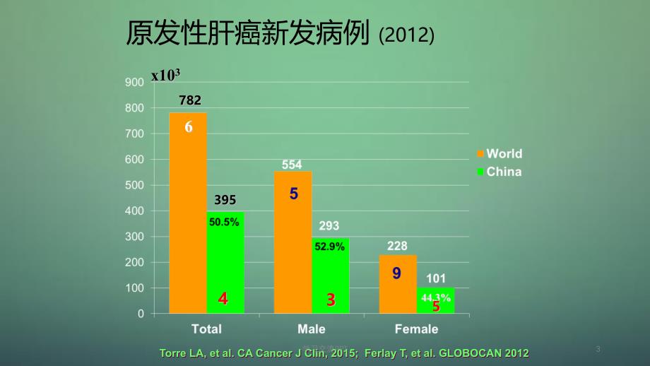 肝癌内科规范化治疗ppt课件_第3页