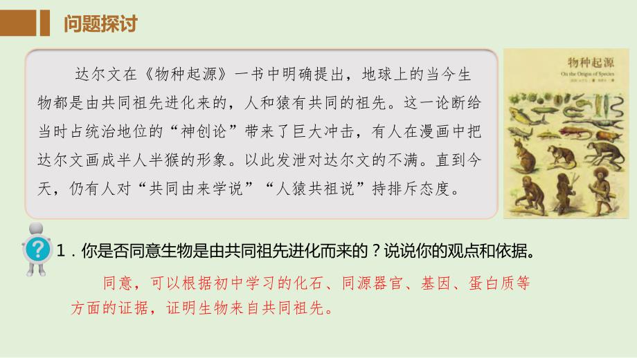 【高中生物】生物有共同祖先的证据课件 2022—2023学年高一下学期生物人教版必修2_第4页