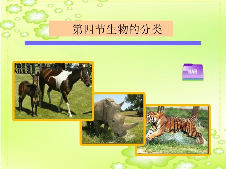 生物的分类课件(苏教版八年级上).ppt_第1页