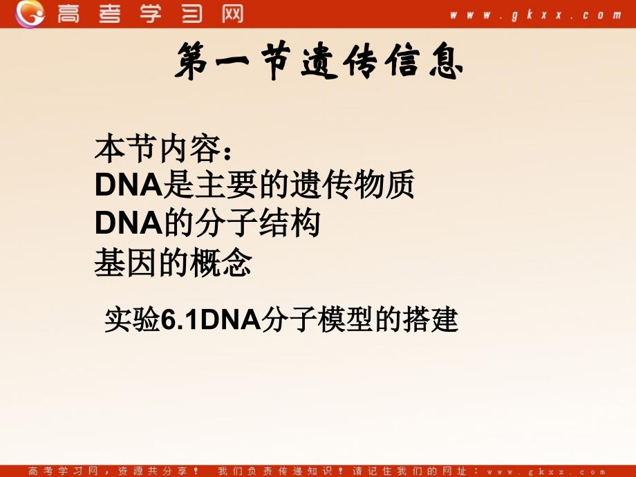 高中生物《遗传信息》课件1（32张PPT）_第3页