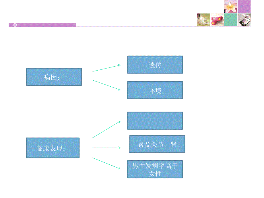 痛风护理查房(恢复)_第3页