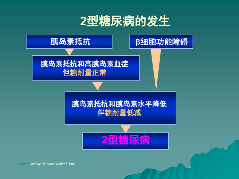 2型糖尿病和胰岛素_第3页