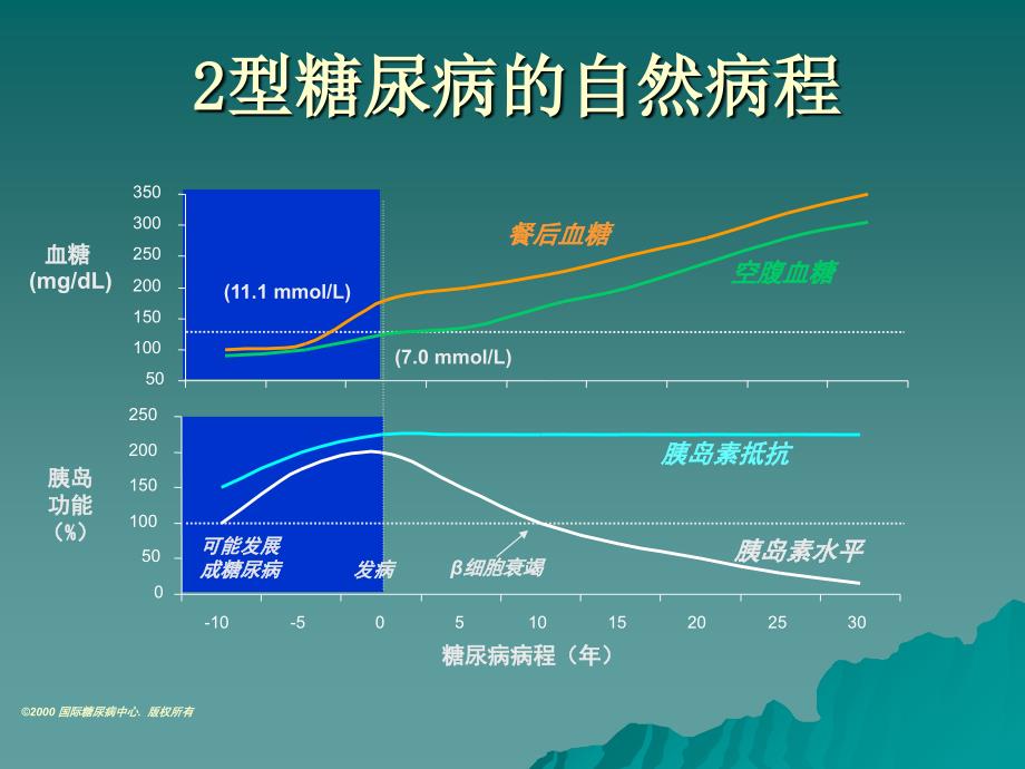 2型糖尿病和胰岛素_第4页