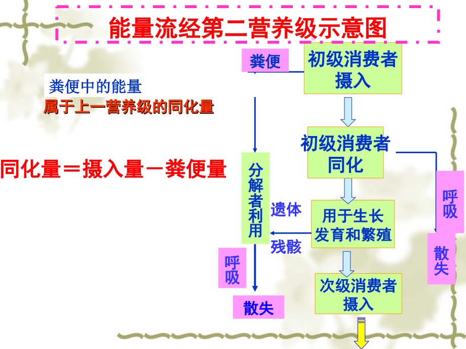 5.2-能量流动高考题精选课件_第2页