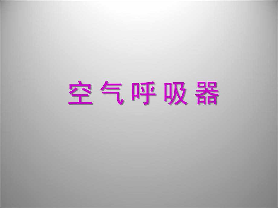 空-气-呼-吸-器ppt课件_第1页