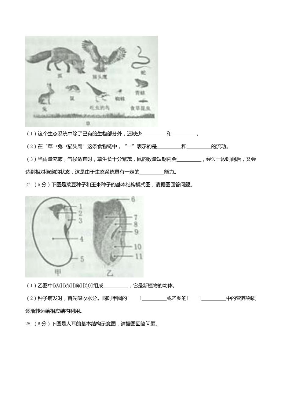 2017年牡丹江市中考生物试卷（含答案）_第4页