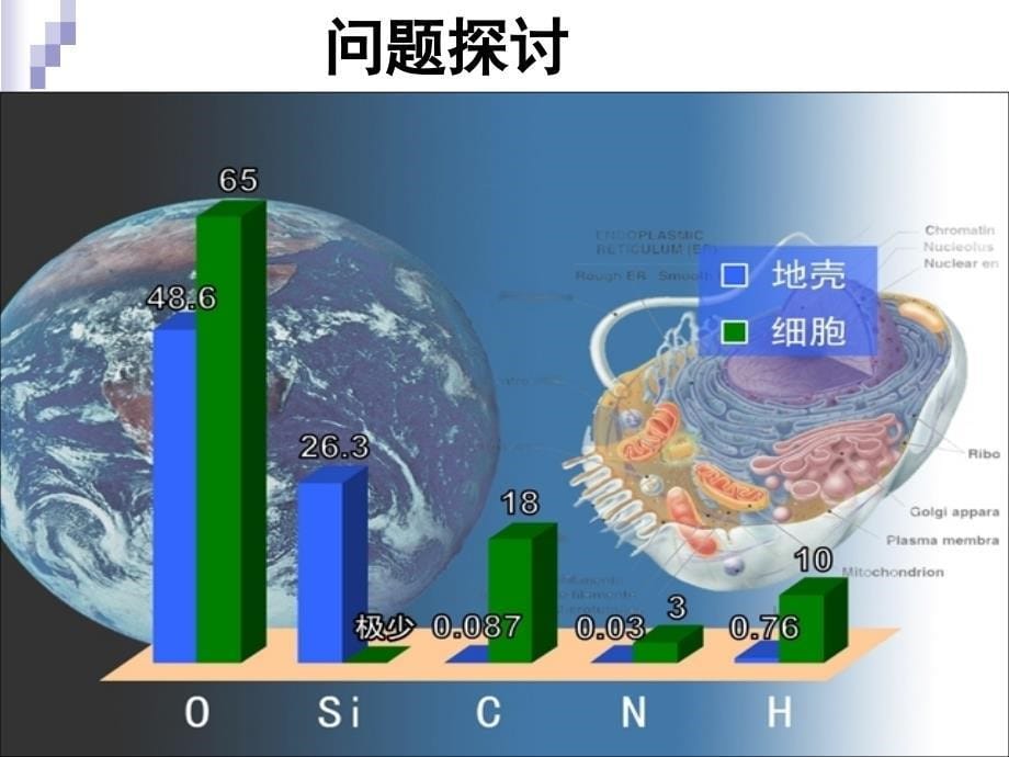 使用细胞中的元素和化合物_第5页