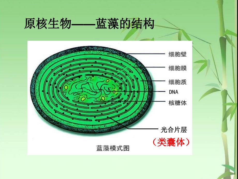 能量的获得PPT课件_第3页