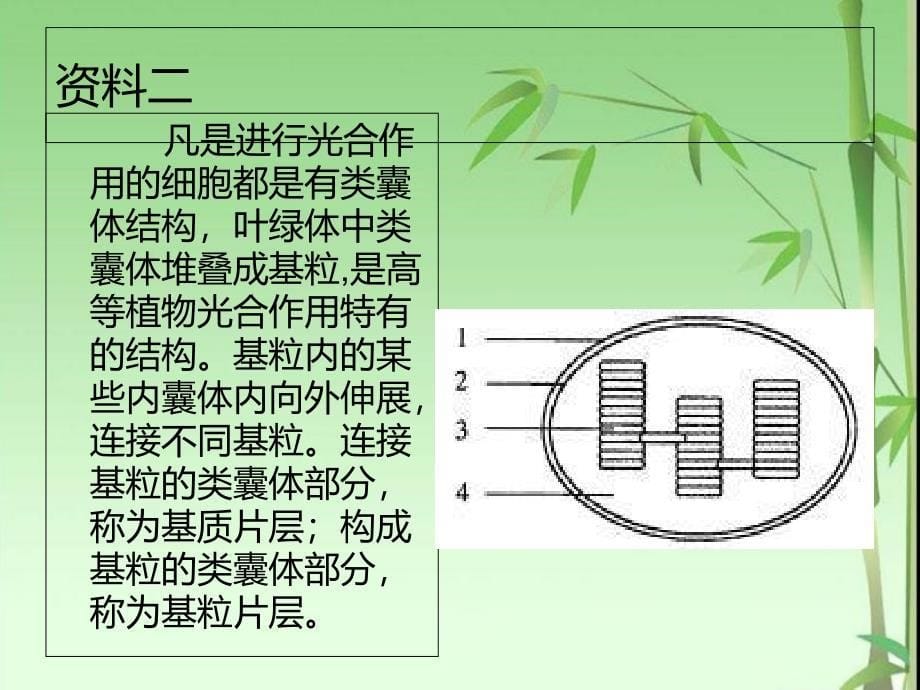 能量的获得PPT课件_第5页