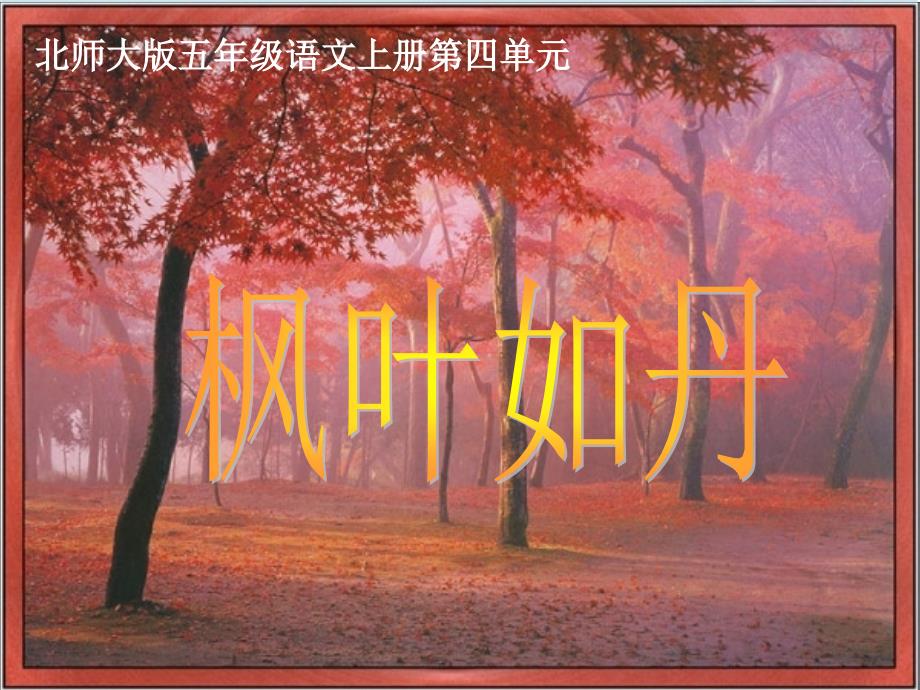 五年级语文上册枫叶如丹课件北师大版课件_第1页