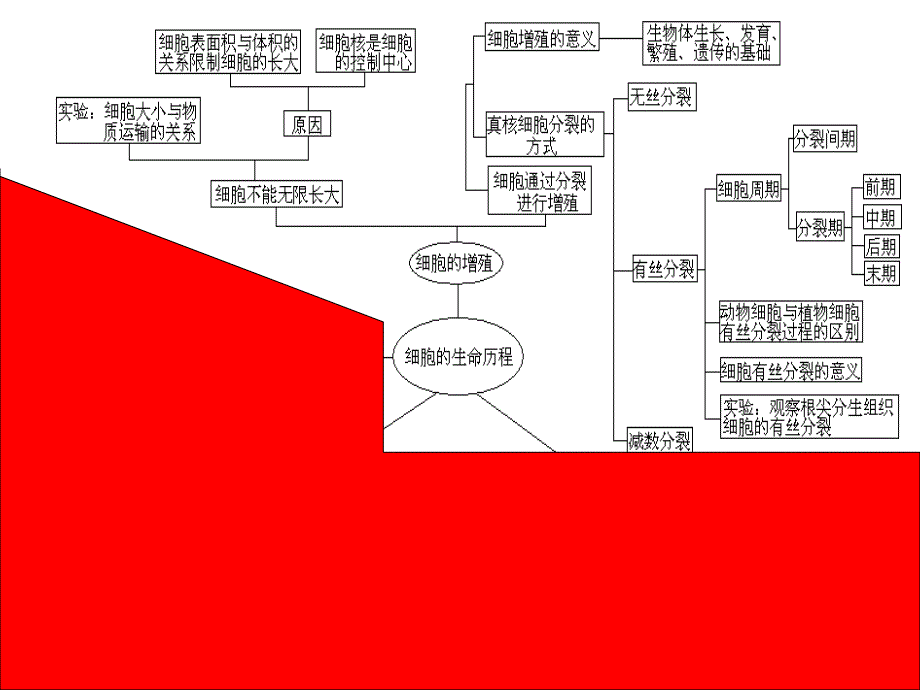 细胞的历程PPT课件_第2页