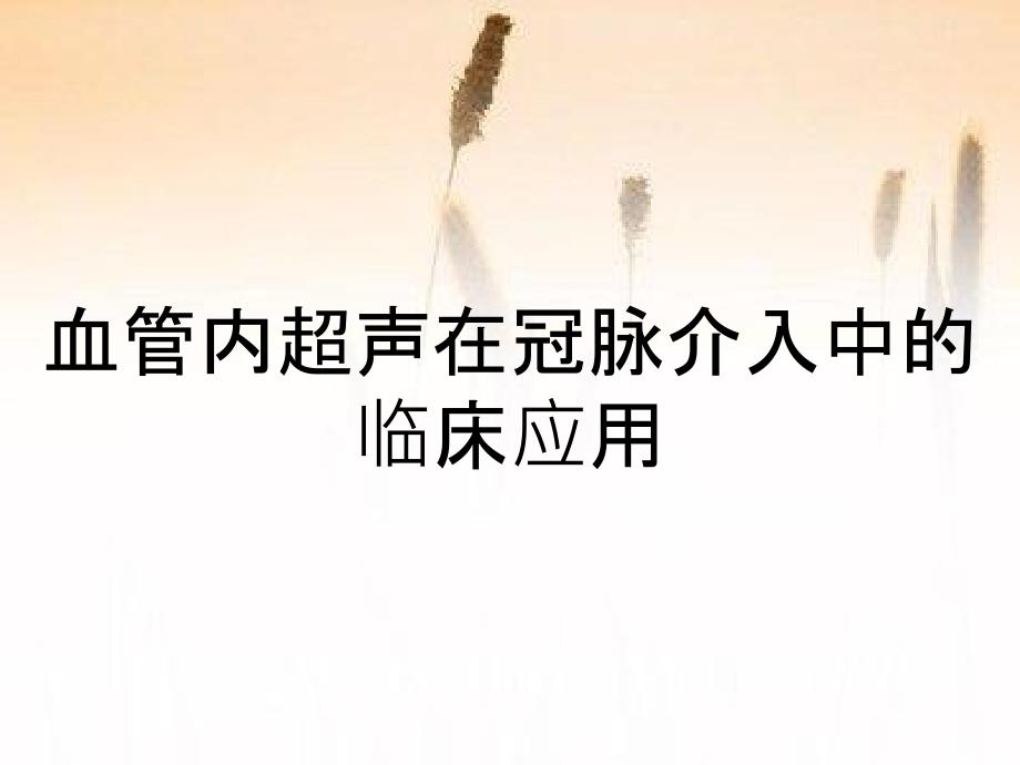 血管内超声在冠脉介入中的临床应用_第1页