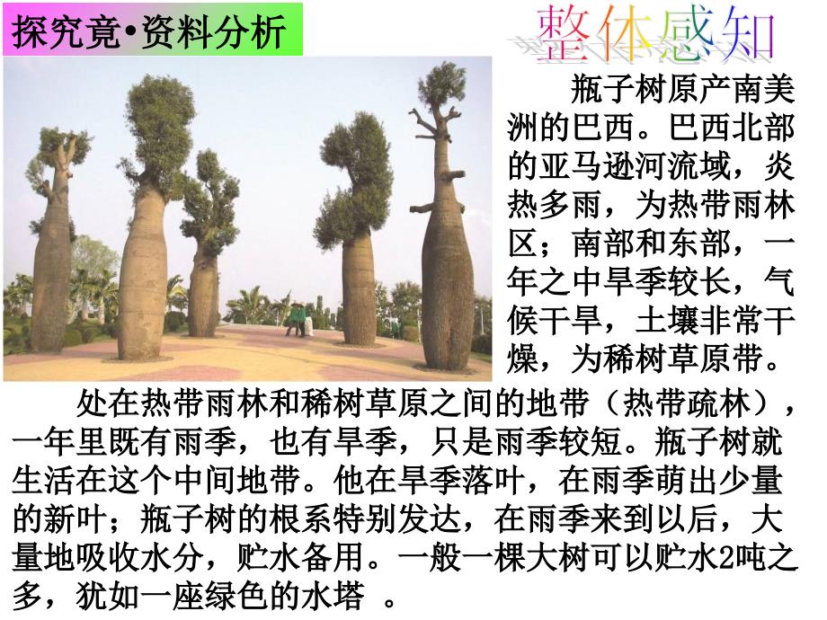 第二节生物对环境适应和影响_第4页