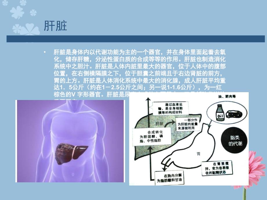 专家讲解慢性病之肝病河北肝硬化医院_第3页