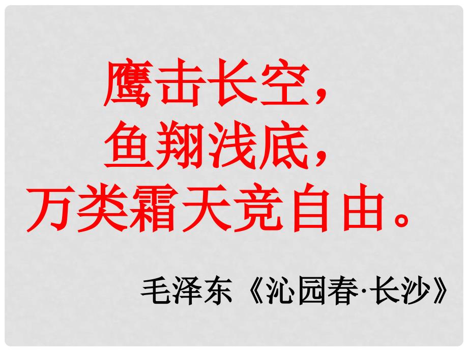 山东省淄博市博山区第六中学八年级生物上册 5.1.6 鸟课件 （新版）新人教版_第1页