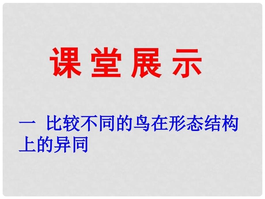 山东省淄博市博山区第六中学八年级生物上册 5.1.6 鸟课件 （新版）新人教版_第5页