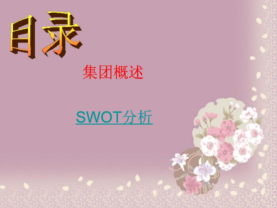 加多宝集团战略分析SWOT_第2页