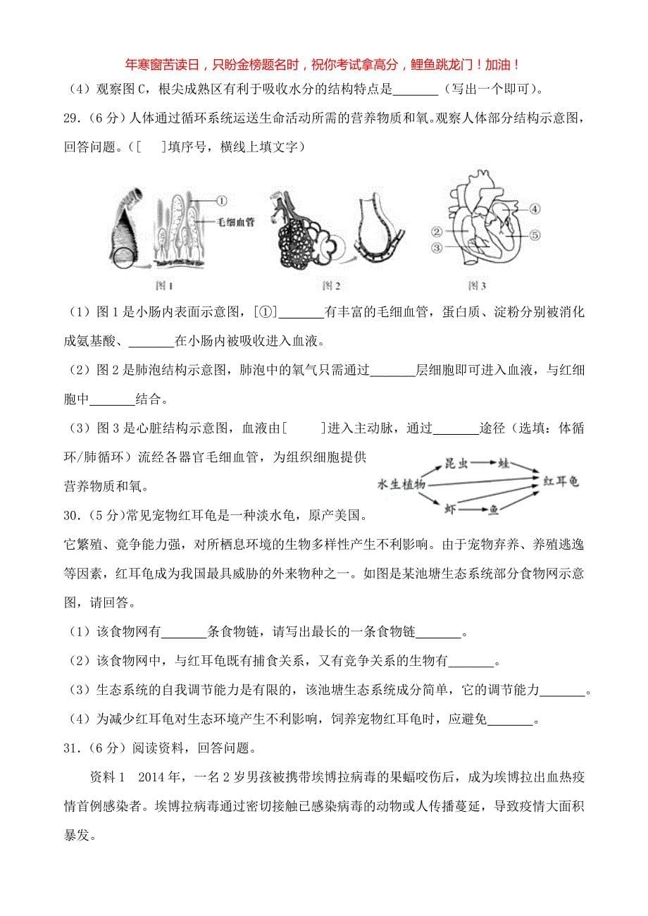 2018年福建福州中考生物真题(含答案)_第5页