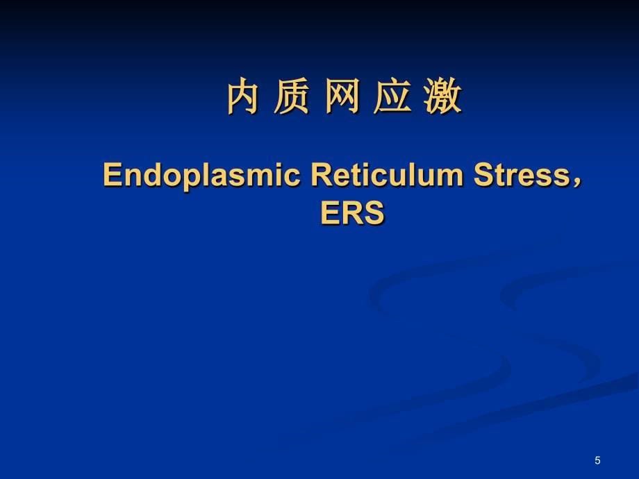 内质网应激与心血管疾病EndoplasmicReticulumStressERS_第5页