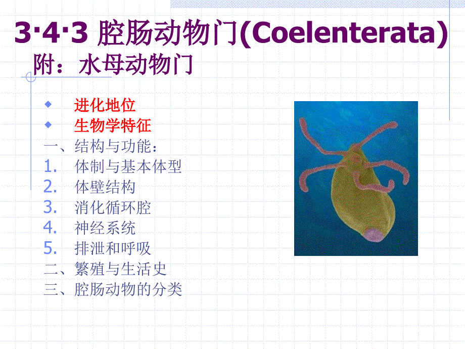 动物生物学腔肠动物MicrosoftPowerPoint演示文稿恢复_第2页