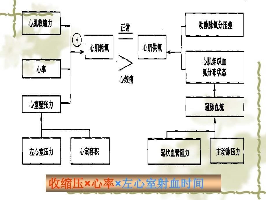 抗心绞痛药定稿_第5页