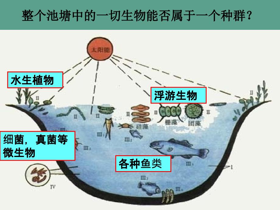 swg21生物群落第二课时0ppt课件_第2页