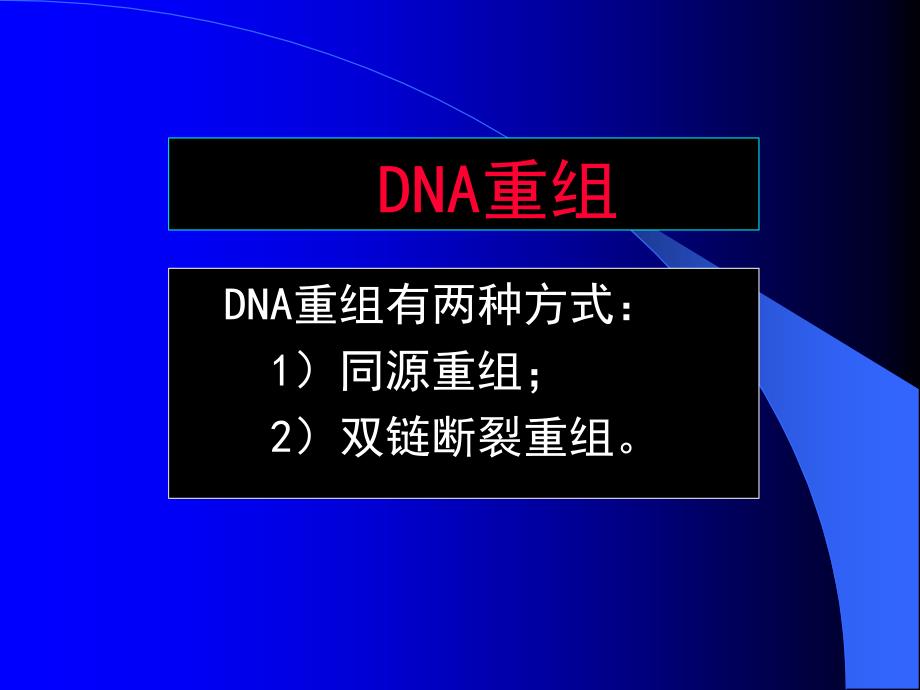 分子生物学张海红第1213章 基因组进化的机制与模式_第2页