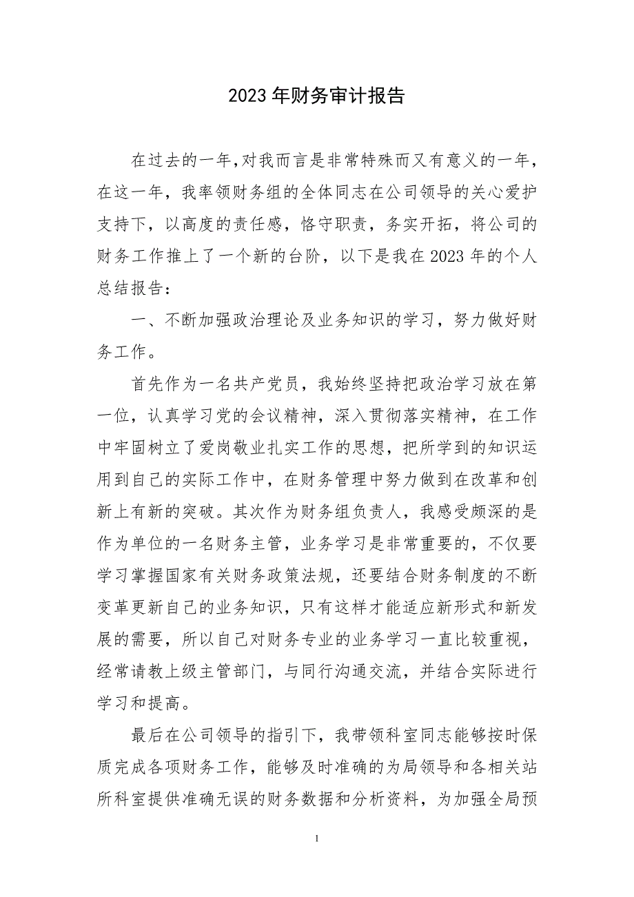 2023年财务审计报告简短_第1页