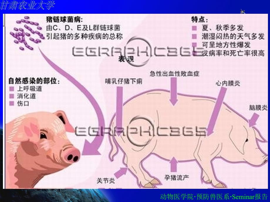 研究生Seminar模板_第3页