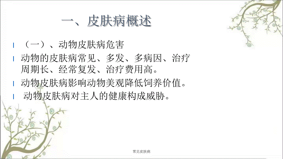 常见皮肤病课件_第2页