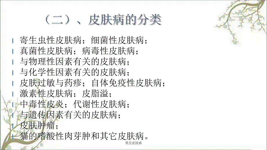 常见皮肤病课件_第3页