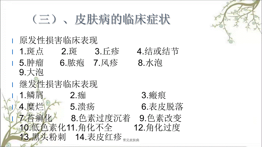 常见皮肤病课件_第4页